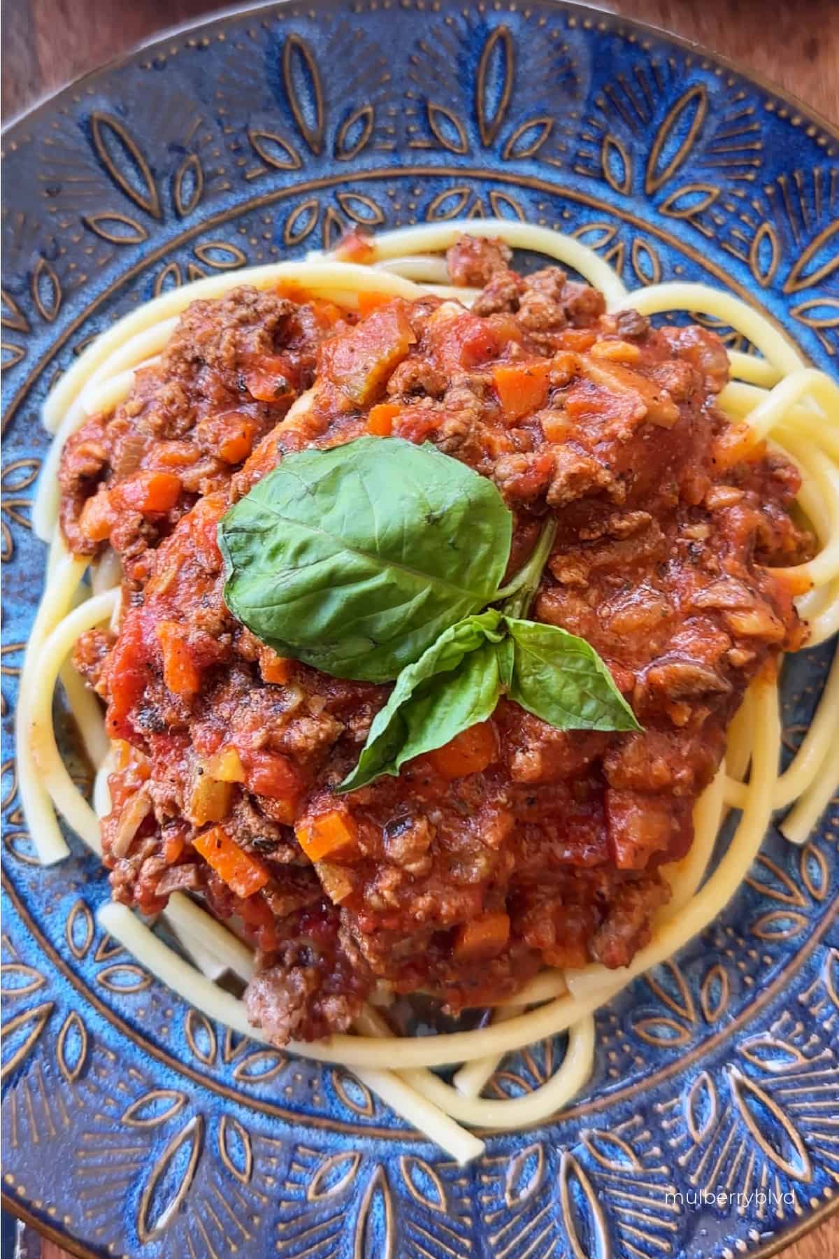 an image of long spaghetti noodles topped with spaghetti sauce on a blue plate