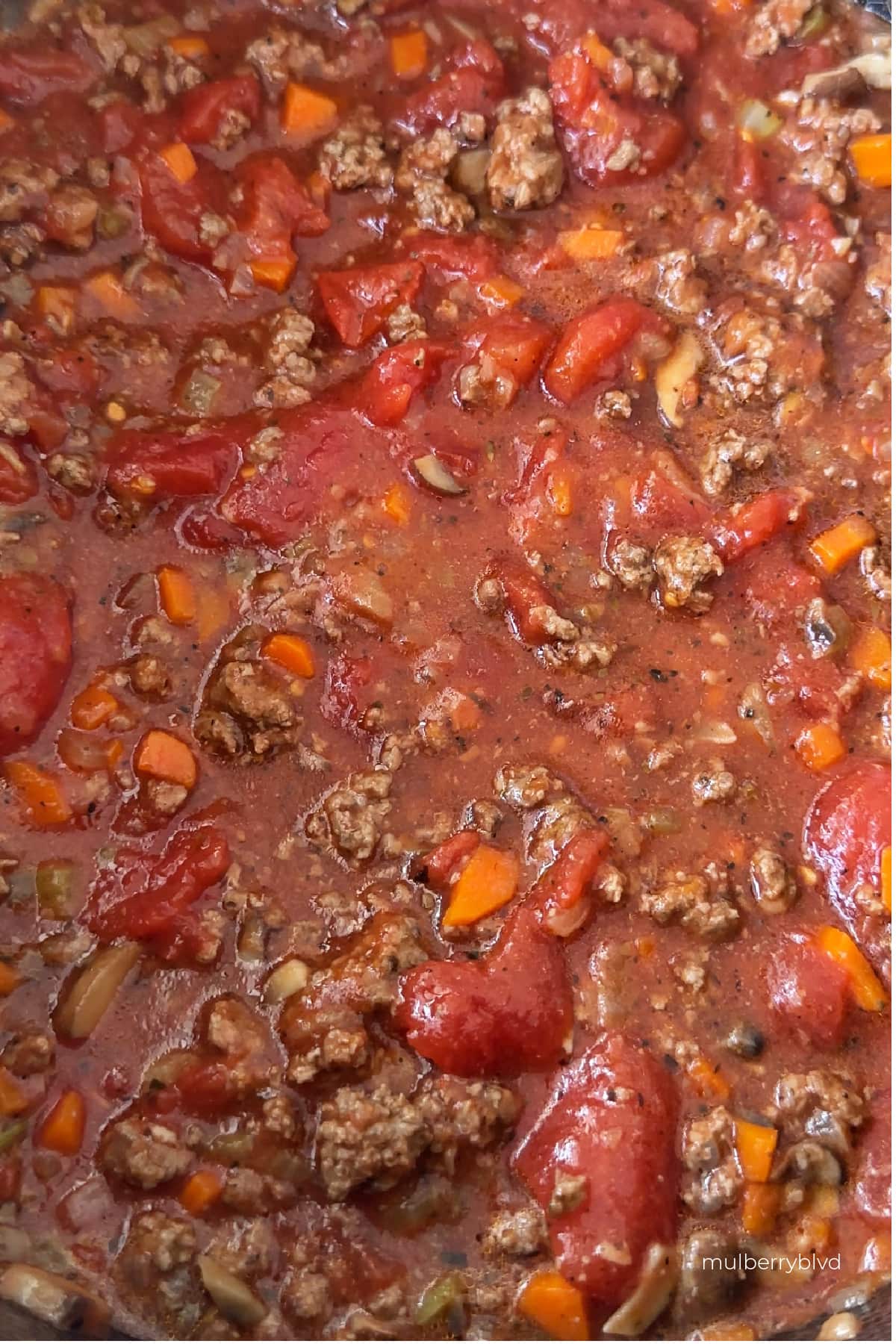 a close up image of homemade spaghetti sauce