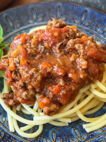 an image of spaghetti with pasta sauce, plated on a blue plate