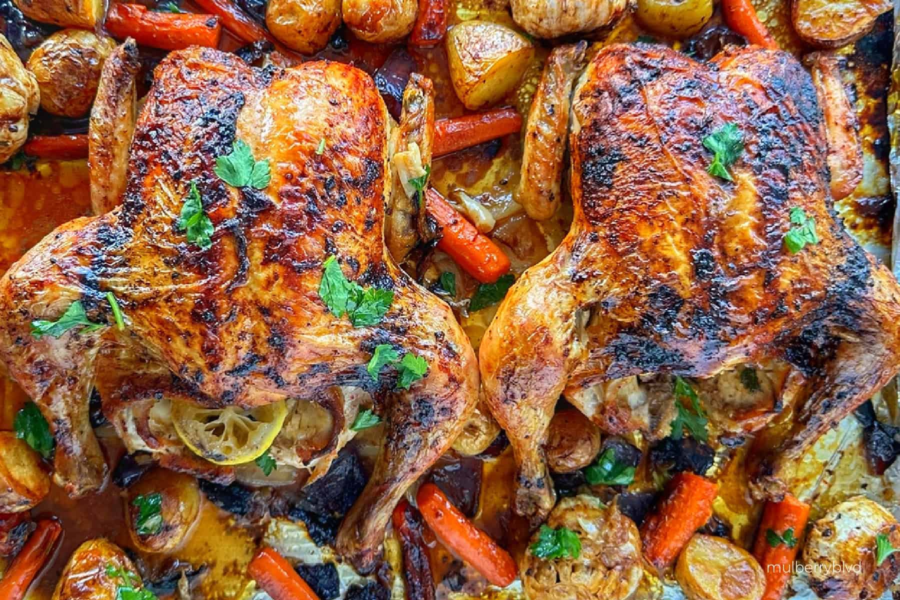 This is an image of two roasted chickens, on a baking tray with roasted potatoes, carrots, onions, and garlic. The entire tray is sprinkled with fresh parsley.