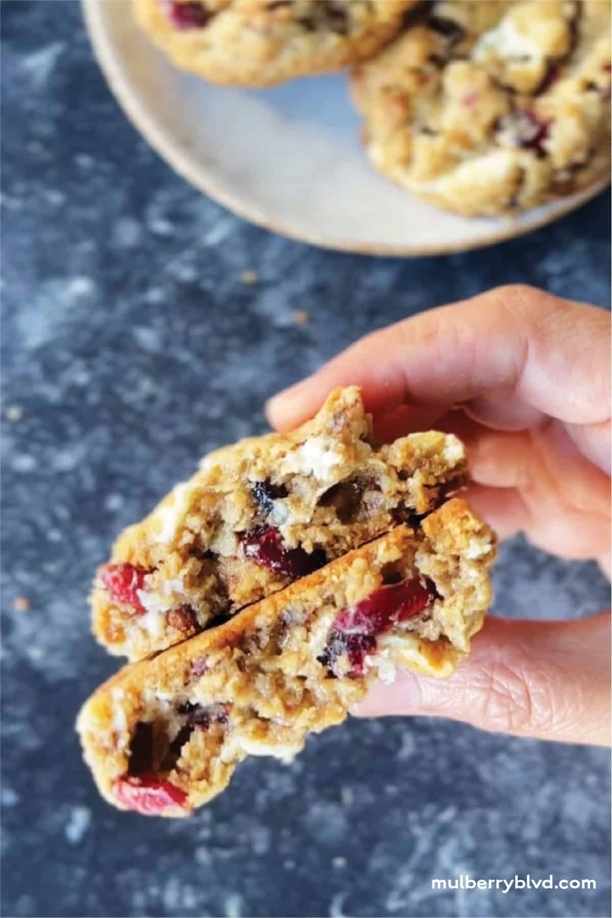 Close up picture of oatmeal cookies with white chocolate chips, dried cranberries, and toasted pecans, a festive holiday cookie.