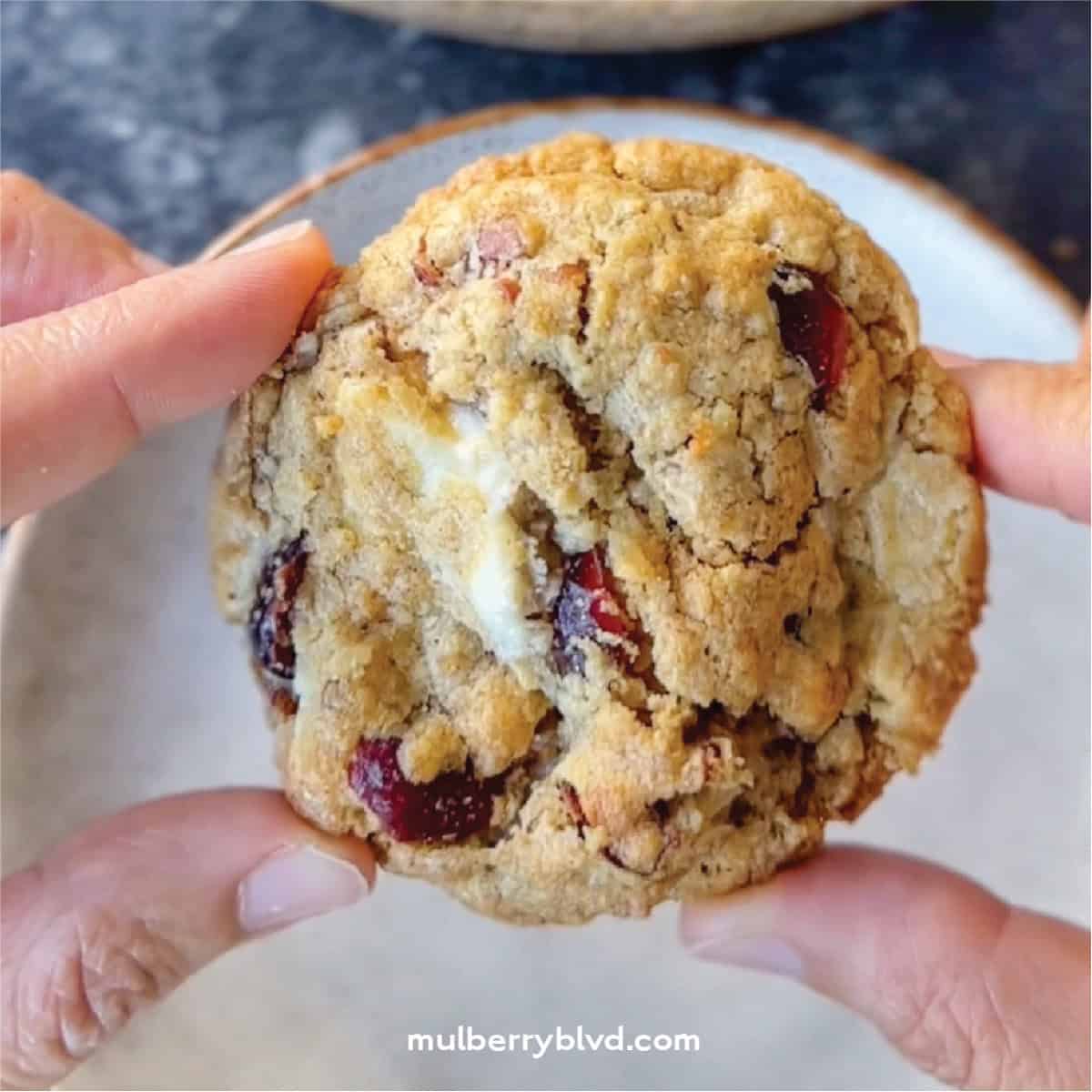 A festive white chocolate cranberry oatmeal cookie with pecans shown close up