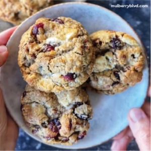 Oatmeal cookies with white chocolate chips, dried cranberries, and toasted pecans, stacked on a plate and perfect for holiday baking.